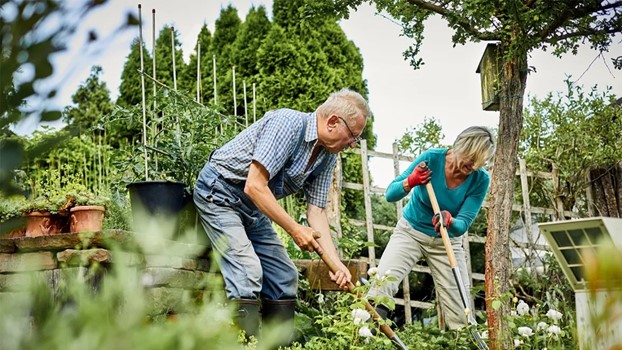 elderly couple working outside in garden