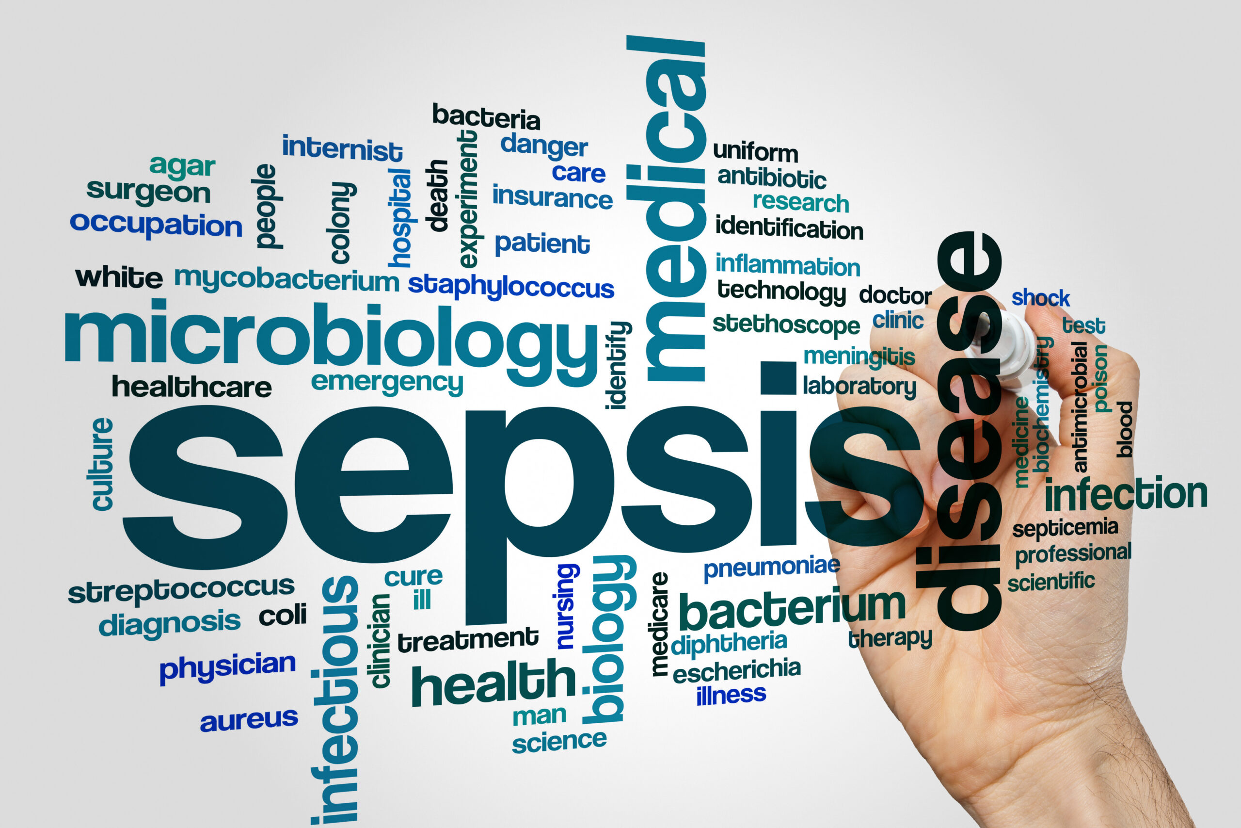 image of hand holding a marker writing words in a word cloud diagram; text reads - sepsis, disease, agar, surgeon, occupation, people, internist, bacteria, danger, care, insurance, patient, death, experiment, hospital, colony, white, mycobacterium, staphylococcus, identify, microbiology, healthcare, emergency, culture, streptococcus, diagnosis, coli, physician, aureus, infectious, clinician, cure, ill, treatment, health, man, nursing, science, biology, Medicare, pneumoniae, bacterium, diphtheria, Escherichia, illness, therapy, uniform, medical, antibiotic, research, identification, inflammation, technology, doctor, clinic, stethoscope, meningitis, laboratory, shock medicine, biochemistry, antimicrobial, poison, blood, infection, septicemia, professional, scientific